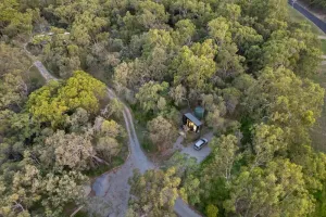 Image of Wildlife Haven by Tiny Away