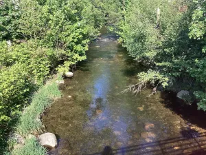 Image of Quiet apartment near 3* hiking trails