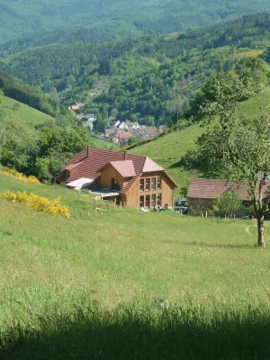 Image of In the center of Alsace and already in the Vosges