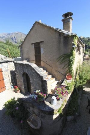 Image of Apartment - ideal location - ground floor - garden - patio
