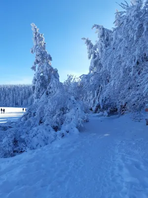 Image of Appart 2 ch 5 P Your nature vacation at Super Besse in the Massif du Sancy!