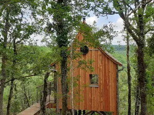 Image of Wooden tree house