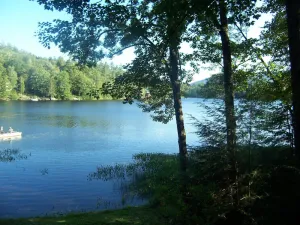 Image of Cozy Cabin on Loon Lake