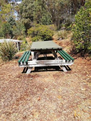 Image of Minnow cabins, peaceful bush setting, cabin 2