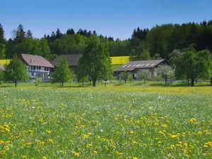 Image of Holiday apartment Eschenz for 1 - 7 persons with 2 bedrooms - Farmhouse