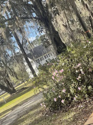 Image of LIBERTY TRAIL EXCITEMENT! 30 MINS FROM DOWNTOWN SAVANNAH