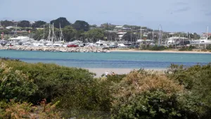 Image of Marlin Waters 8