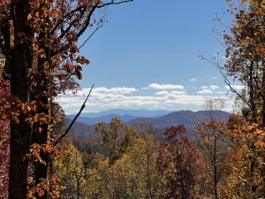 Image of 🪵 Murphy Cabin 🏔 Mountain View \/\/ 2Bed-2Bath \/\/ 6 guests \/\/ 10mins to town