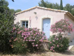 Image of Le petit mas