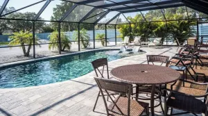 Image of The Pelican