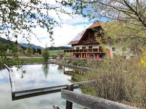 Image of Romantic apartments with pond view, sun terrace and swimming pond