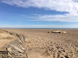 Image of Apartment 500m from the beach - Saint Pierre La Mer 4PVM464