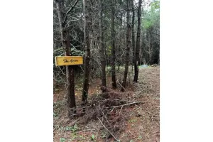 Image of Blackberry Pond at The Bluffs