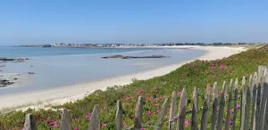 Image of White sand house with sea view, 100m from the beach!
