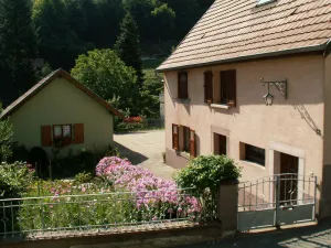 Image of Detached renovated house with forest view