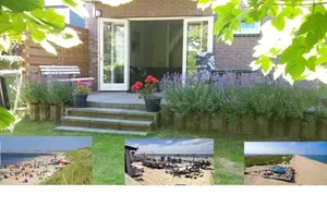 Image of Rest, walk and enjoy the wide beach and in April Tulips!!!