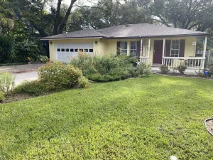 Image of Quiet and peaceful yet walk to Charming Downtown MT. Dora
