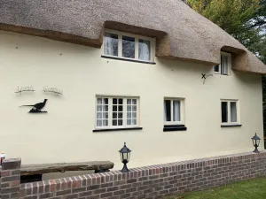 Image of Delightful thatched cottage in beautiful sleepy Dorset village and countryside