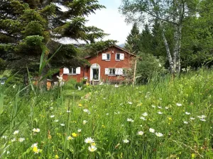 Image of Holiday house Wildhaus for 1 - 7 persons with 4 bedrooms - Detached holiday house