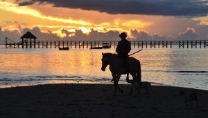 Image of Fiji's Hidden Oasis - Your Family Friendly Holiday Villa