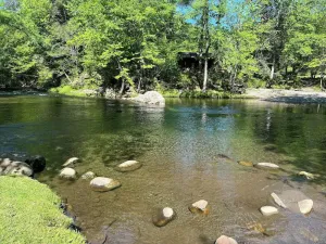 Image of Beautiful riverside cabin, sleeps 18!