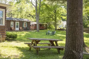 Image of Corner Cabin Pet Friendly Williams Bay on Lake Geneva