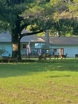 Image of fishing ~ plenty of parking ~ 1\/2 mile to marina ~ 5 min to new WestBay casino