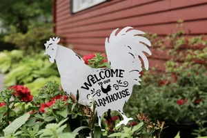Image of Quiet Country Escape - 15 Minutes to Notre Dame