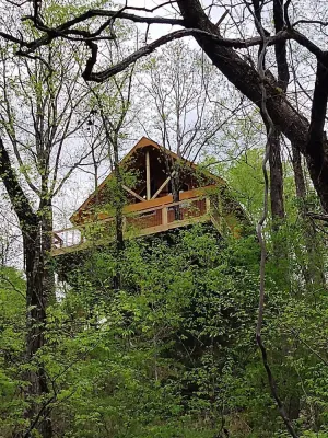Image of Unique Treehouse property at Lake Catherine. Lake toys included.