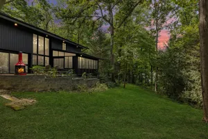 Image of KABINO: Mid-Century Modern with Floor to Ceiling Pine Views