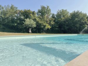 Image of Villa Contemporary Architect heated pool garden 4000m2 quiet