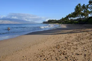 Image of Wailea Ekahi Village 43B 1Bed\/2Bath near quiet pool