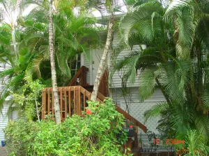 Image of Treetops Riverfront Private Cottage w\/Dock,wildlife,kayak,bike,pool,100+ reviews