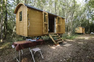 Image of Lovely 2-Bed shepherds hut in a Forest