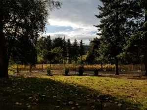 Image of Country feel, w\/ all amenities, close to winery, restaurants, shops, & freeway!