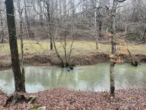 Image of Surrounded by state parks!