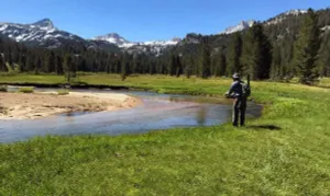 Image of WWM Room 7A: Yosemite Base camp explore The E Sierras