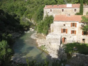 Image of Le Moulin du Bronc