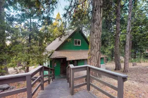 Image of Cute cabin in tranquil wooded setting with your own private snow park - dogs OK