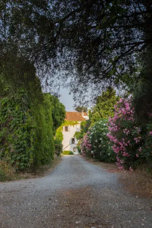 Image of Romantic house, private swimming pool, quiet and welcoming estate