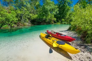 Image of Home Near Weeki Wachee, King Bed, Huge Backyard