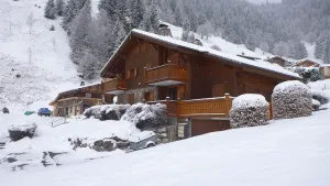 Image of Nice apartment of 35 m2 in a beautiful sunny Savoyard chalet