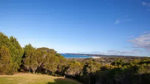 Image of Adelong - beautiful acreage property in Bermagui