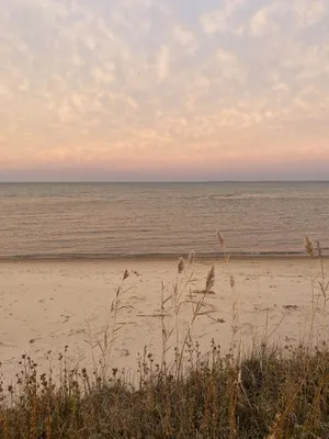 Image of Spend time in the Sun and Sand at Cozy Cottage of Caseville.