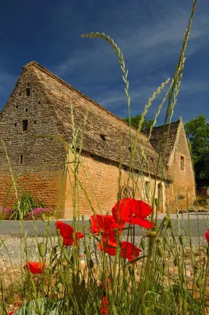 Image of COTTAGE IN DORDOGNE WITH PRIVATE POOL BETWEEN SARLAT AND THE LASCAUX CAVE