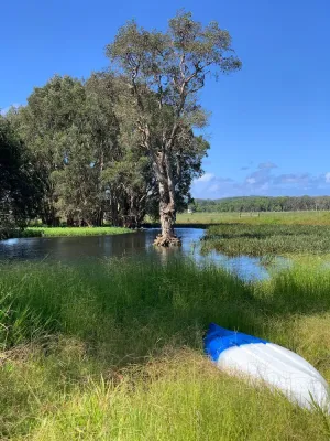 Image of Duck Heaven in Bellingen Shire