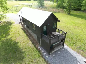 Image of The Bird house