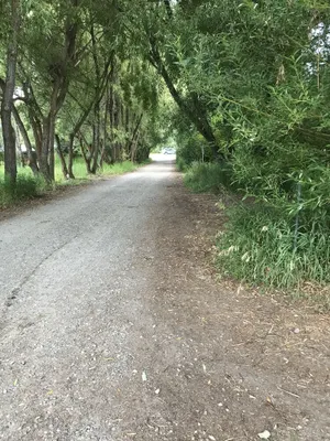 Image of Minutes to the entrance to Grand Teton Nat. park.