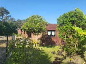 Image of In Mimizan-plage sud, small wooden house facing the forest, 2km from the ocean