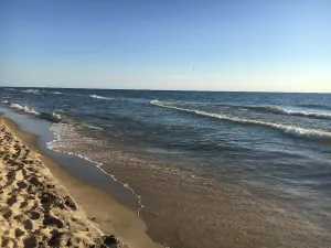 Image of A block from the beach! A beautiful wooded spot a 5 minute walk from Lake MI..